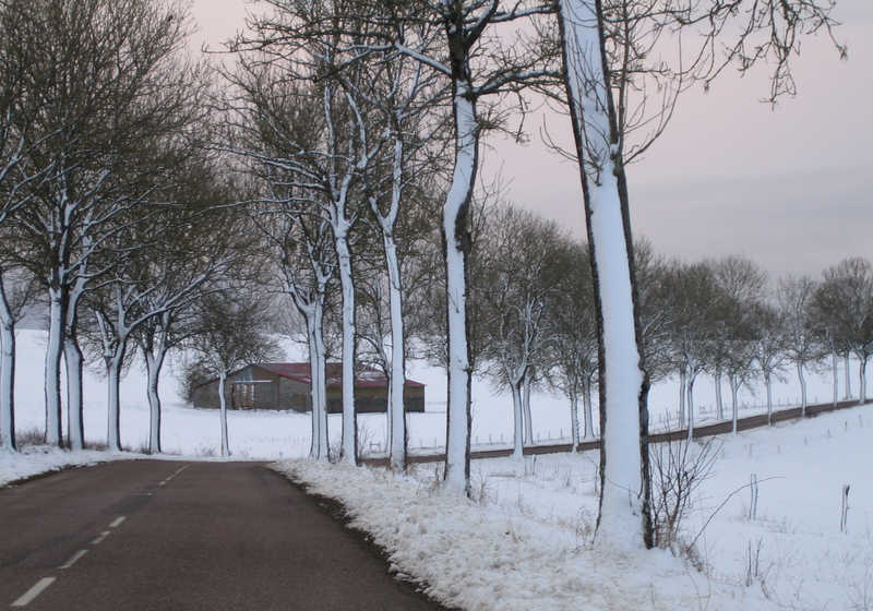 Vosges halo IMG 8760